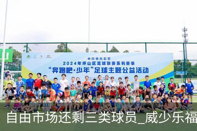 自由市场还剩三类球员 威少乐福领衔失业大军？